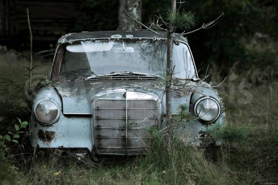 Marc Theis - „rust never sleeps“ (Schrottplatzautos), 0559